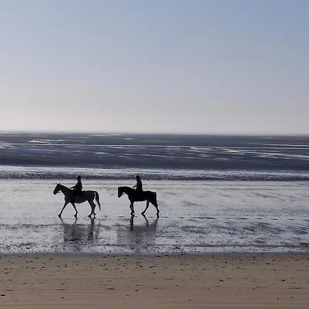 Casa de Férias De L'etang Des Sarcelles Saint-Martin-d'Aubigny