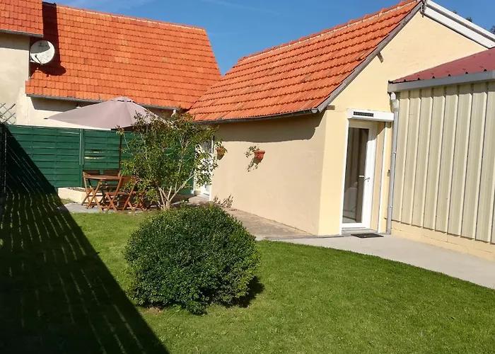 De L'étang Des Sarcelles *