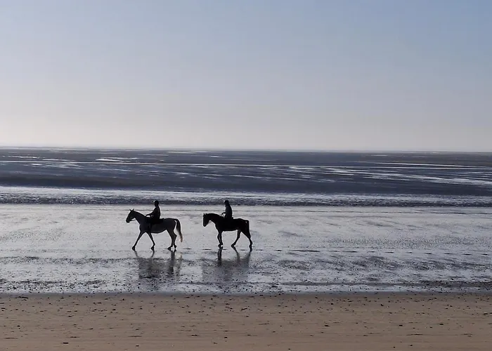 Σπίτι διακοπών De L'etang Des Sarcelles Saint-Martin-d'Aubigny